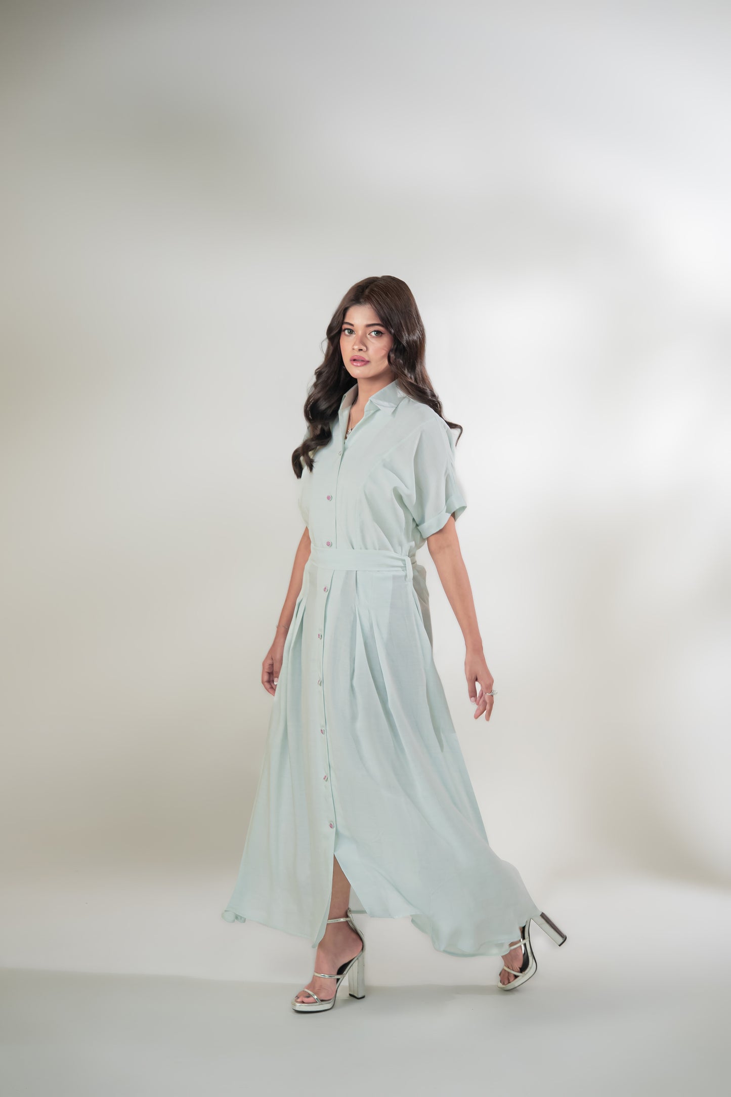 The Meadow Shirt Dress